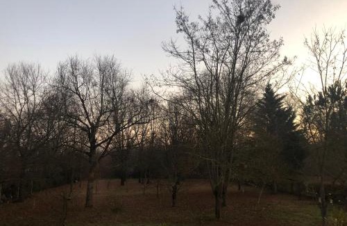 Montauban House | Les Dames Noires