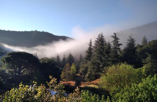 Saint-Andre-de-Majencoules House | Les Deux Voutes de Camias - Gite en Cévennes