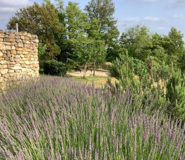 Cales Bed & Breakfast | Les Etoiles de Calès - chambres d'hôtes de charme près de Rocamadour au coeur du Parc Naturel des Causses du Quercy