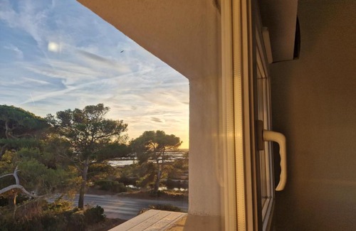 La Capte Apartment | Les flamants roses de la Capte T2