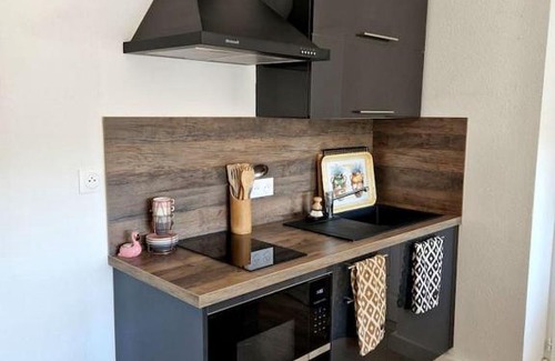 La Capte Apartment | Les flamants roses de la Capte T2