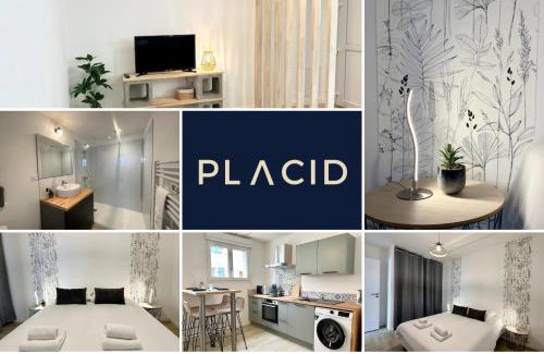 Mont-de-Marsan Apartment | Les Forgerons - Chaleureux - Central