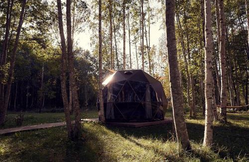 Vilusi House | LES Glamping