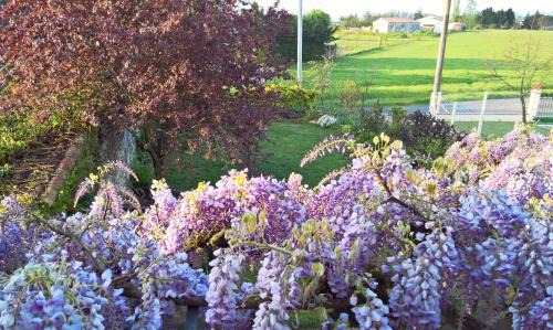 Eymet House | Les Glycines Bed & Breakfast