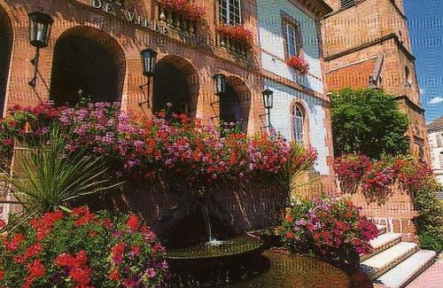 Saint-Philippe Apartment | LES HORTENSIAS
