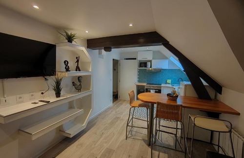 Provins Apartment | Les Lofts De Provins: Apt 7