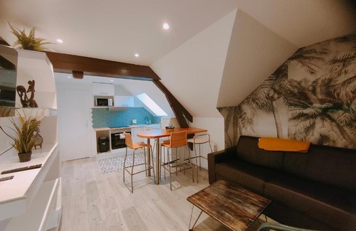 Provins Apartment | Les Lofts De Provins: Apt 7