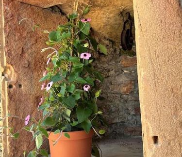Prisse House | Les Murgers Au coeur des Vignes