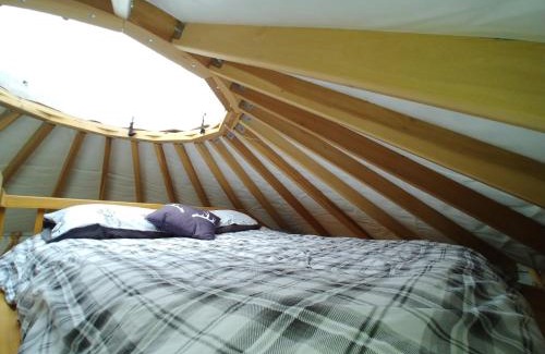 Rouyn-Noranda Ski Chalet | Les Racines du p'tit Isidore