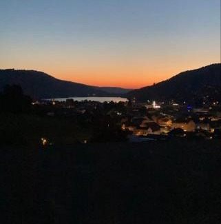 Gerardmer Apartment | Les Tilleuls vue sur le lac