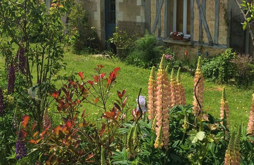 Levis House | Les Toitons