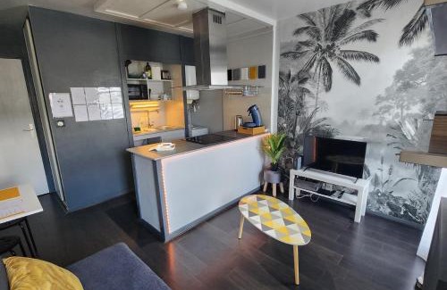 Joue-les-Tours Apartment | 'Les Tropiques' - Parking privé - Balcon - Tout confort