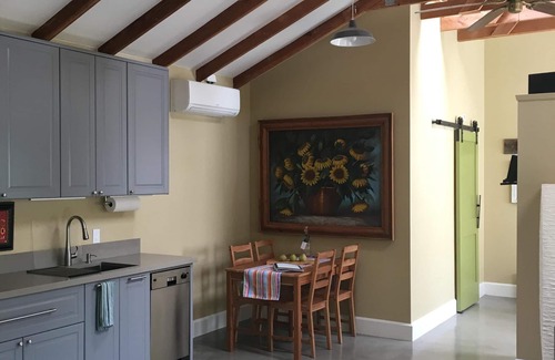 Sebastopol House | Let the sun shine in!