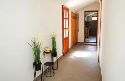 Bekesszentandras House | Levendulás Tanya Szarvas - Jakuzzi és medence