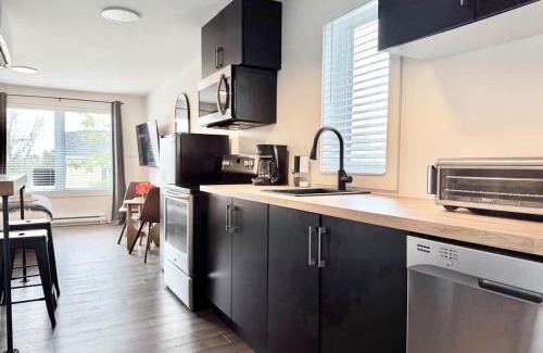 Desjardins Apartment | Levis Downtown New Studio #3 AC, WiFi and 2 Parking spaces
