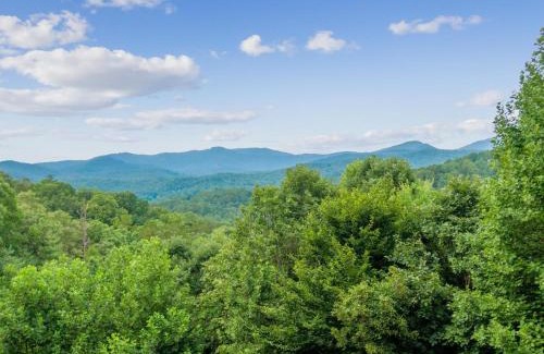 Mineral Bluff House | License 2 Chill