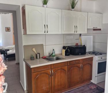 Nyiregyhaza Apartment | Lidvina Apartman