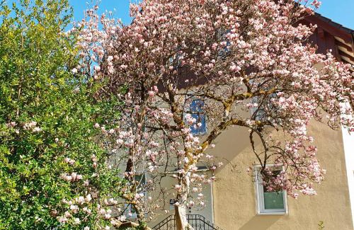 Alpirsbach Apartment | Liebevoll Gästewohnungen