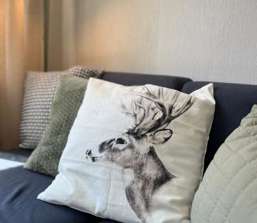 Michelstadt Apartment | Liebignest