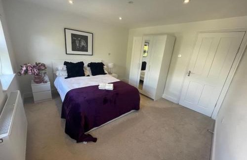 Wimbledon Apartment | Light and Modern 2BR 1.5BA, newly refurbished!