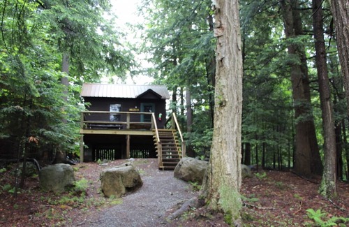 Saranac Lake Cabin | "Like a treehouse!" Adirondack Pet Friendly Cabin Suitable For 2 | Lake Access