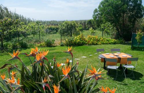 Ericeira House | Like-Home-T3 House-garden, sea view, beach