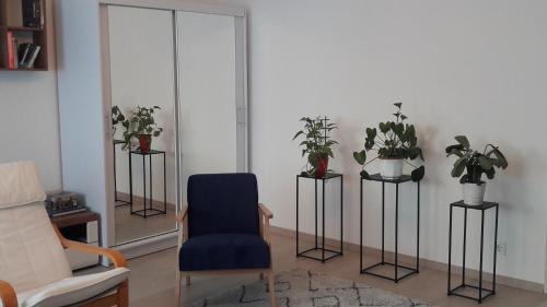 Ferencvaros Apartment | LILIOM Apartment with FREE PARKING space