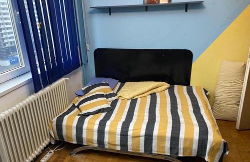 Cluj-Napoca Apartment | Lily Centru