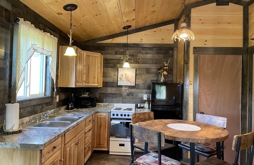 Large Cabin | LILY PAD: Cozy Cabin with Unique Charm overlooking small pond on our property.