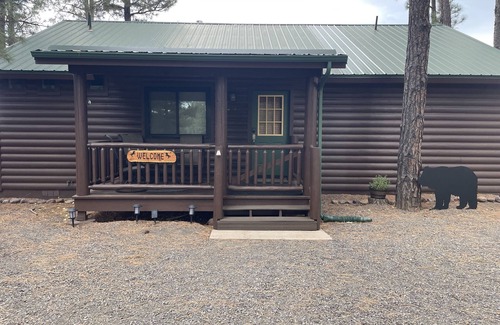 Overgaard Cabin | Lincoln Log Lodge - Backs up to National Forest!