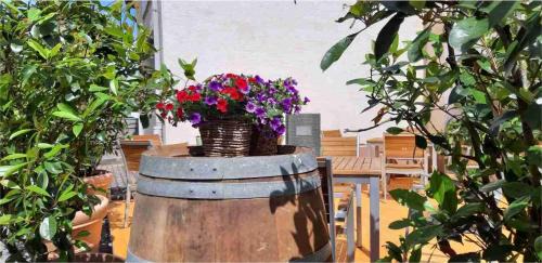 Ayl Apartment | Linden's Pension-Restaurant