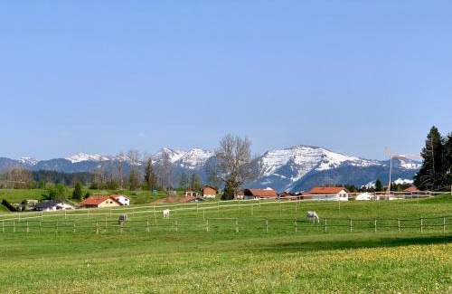 Oberreute Apartment | Lindners Hideaways - Bergnest Lodge - Bergblick Fewo 6 Pers Balkon Garten Hund Ski Unterkunft Luftkurort Oberreute nähe Buchenegger Wasserfälle Eistobel Bodensee