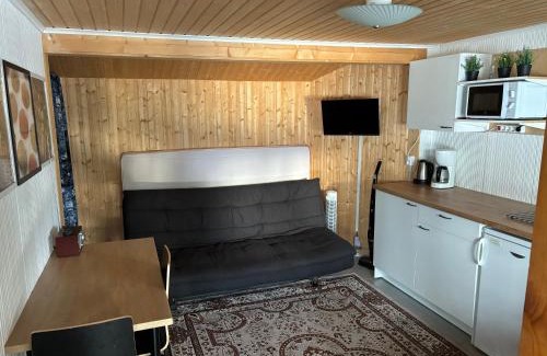 Mikkeli Ski Chalet | Lingonberry Pieni mökki saunalla