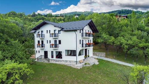 Borsa House | Liniștea Codrului
