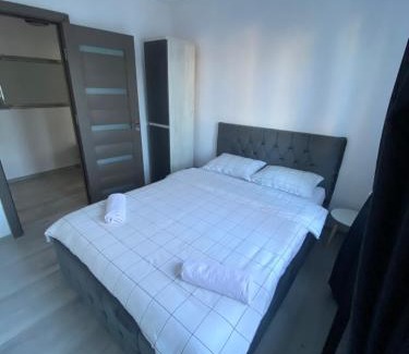 Bacau Apartment | Lion Crib