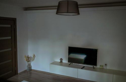 Bacau Apartment | Lion Crib