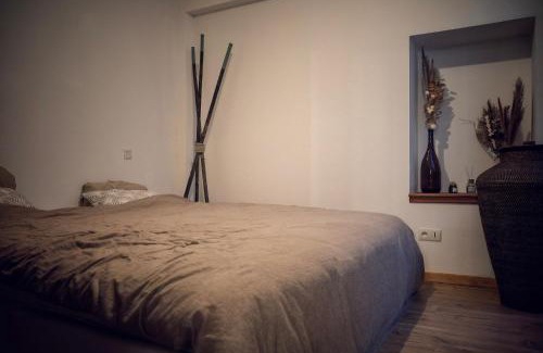 Foix Apartment | Lit King Size Trés Cosy Hyper Centre de Foix Calme