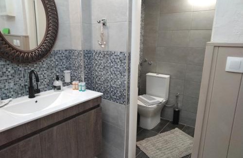 Skiathos Apartment | Litsa's House Platanias