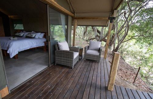 Thorny Bush Game Reserve Cabin | Little Africa Safari Lodge