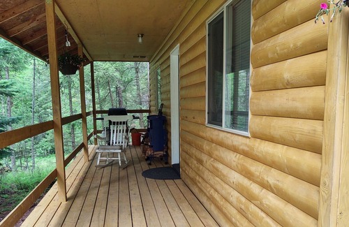 Lakeside Cabin | Little Bear private cabin in the woods- 5 min from volunteer park in Lakeside!