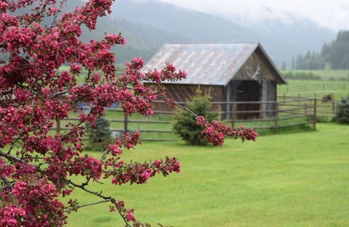 Trout Creek Other | Little Beaver Creek Ranch Four Bedroom Guest House