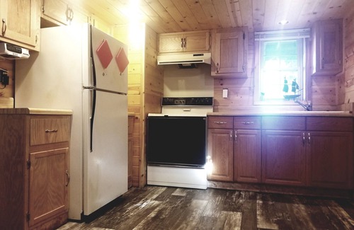Michigan Cabin | *Little Betsy cabin on Lake Superior sandy beach & EV Charger*