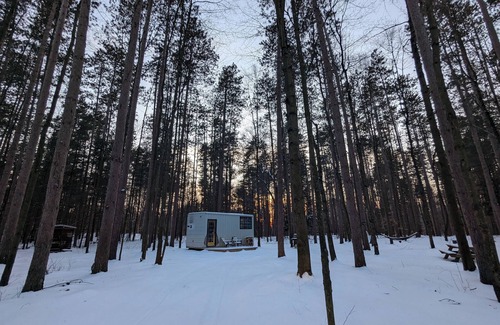 Delhi Cabin | Little Can in the Pines - Bunkie No. 1