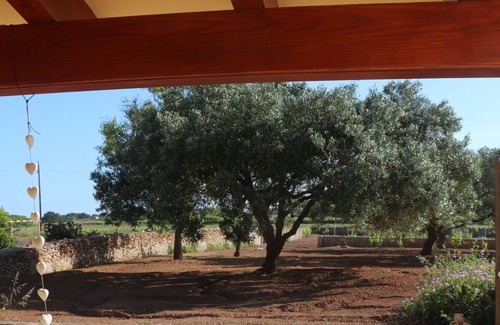 Pilar de la Mola Apartment | Little house in the peace of La Mola