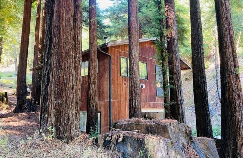 Garberville Apartment | Little House in the Redwoods with a hot tub!