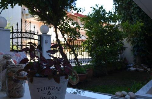 Siviri House | Little Paradise in Siviri