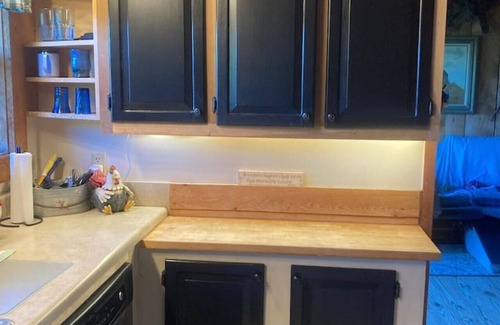 Mouth of Wilson Apartment | Little Private Cabin-Near Grayson Highlands