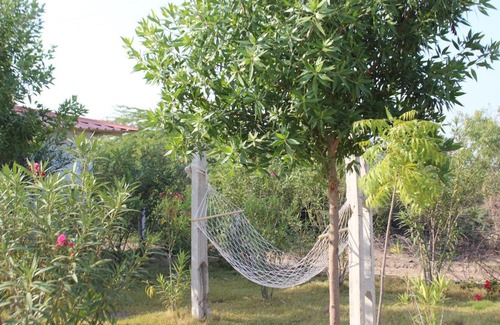 Dasada Resort | Little Rann Resort