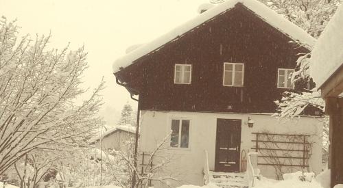 Bad Ischl House | Liuis
