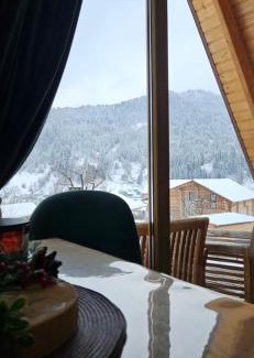 Borsa Ski Chalet | Livada 45